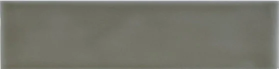 Плитка Adex ADST1038 Liso Eucalyptus 4,9x19,8 глянцевая