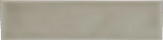 Плитка Adex ADST1041 Liso Graystone 4,9x19,8 глянцевая