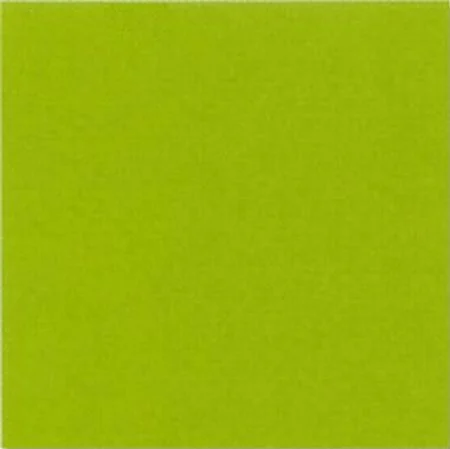 Плитка Pamesa Agatha Arcoiris Pistacho 31,6x31,6 матовая
