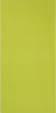 Плитка Pamesa Agatha Pistacho 25x50 глянцевая