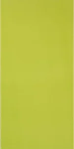 Плитка Pamesa Agatha Pistacho 25x50 глянцевая