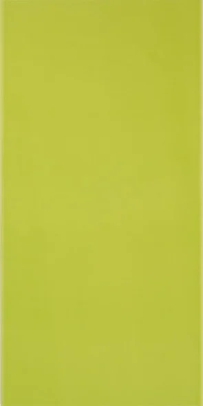 Плитка Pamesa Agatha Pistacho 25x50 глянцевая