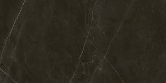 Anima Graphite RT
