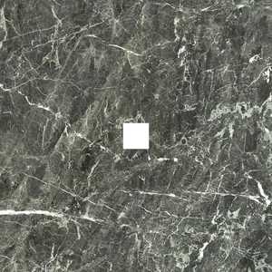 Декоративный элемент Caesar Anima Grey St Laurent Inserto 60x60 полированный