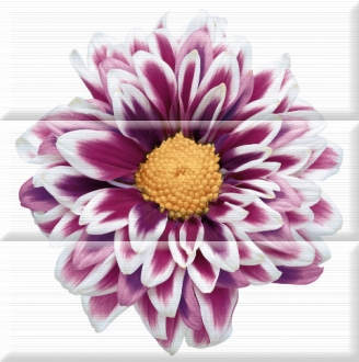 Aure Composicion Flowers