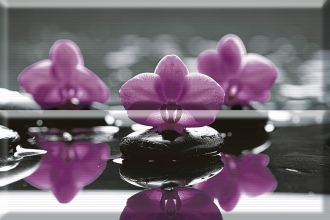 Aure Composicion Wellness Purple 01