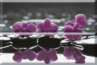 Aure Composicion Wellness Purple 02