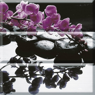 Aure Composicion Wellness Purple