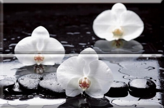 Aure Composicion Welness White 02