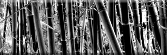 Aure Decor Bambu