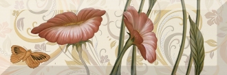 Aure Decor Face 01