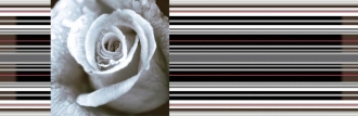Aure Decor Rose 01