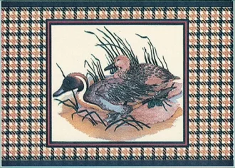 B Canard B Canard
