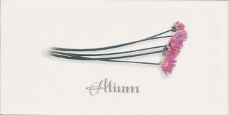 Biselado Decor Alium Blanco