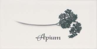 Biselado Decor Apium Blanco