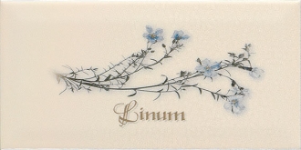 Biselado Decor Linum Crema