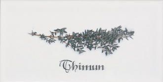 Biselado Decor Thinum Blanco