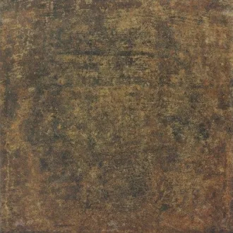 Bolonia Cotto