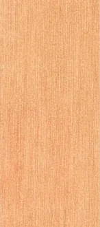 Breeze Orange