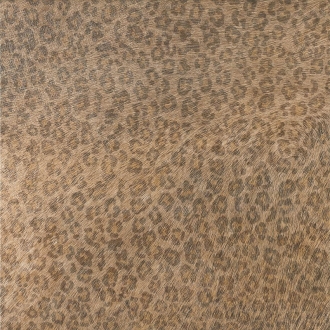 Cavallino Leopard