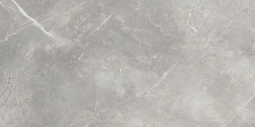 Керамогранит Italon Charme Evo Imperiale 44x88 полированный