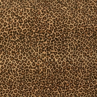Collage Leopard Pulido