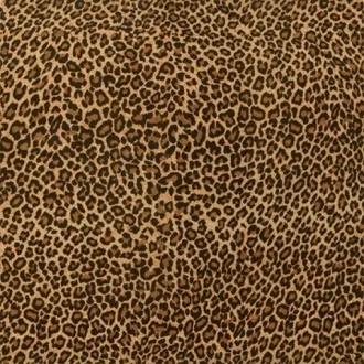 Collage Leopard Pulido