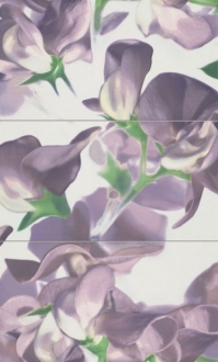 Colour Bloom Violet