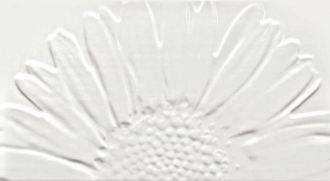 Colour Sunflower White