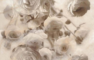 Composicion Silene Ciaro