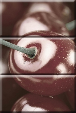 Панно Absolut Keramika Composition Cherry 20x30 глянцевое