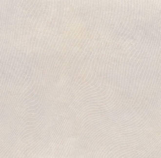 Convex White