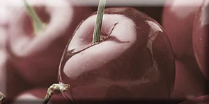 Декоративный элемент Absolut Keramika Decor Cherry 01 10x20 глянцевый