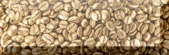 Decor Coffee Beans 02