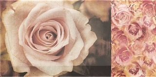 Вставка Mainzu Decor Flower 10x20 глянцевая