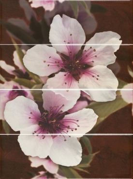 Панно Carmen Decor Set (4) Virginie Lava 60x80 глянцевое