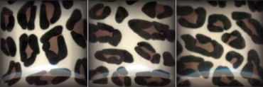 Вставка Cobsa Decora Onice Leo S/3 10x10 глянцевая