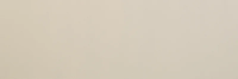 Плитка Tagina Details Bright Field Ivory 9EFG19P 30x90 матовая