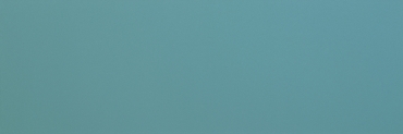Плитка Tagina Details Bright Field Sky 9EF2Q9P 30x90 матовая