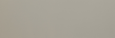 Плитка Tagina Details Bright Field Taupe 9EFF69P 30x90 матовая