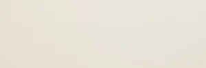 Плитка Tagina Details Bright Field White 9EF089P 30x90 матовая