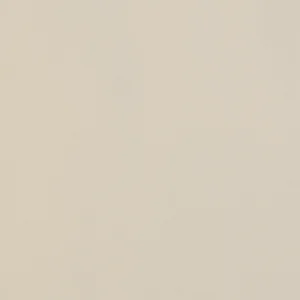 Керамогранит Tagina Details Floor Ivory 9EFG160 60x60 матовый