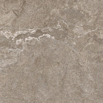 Dynasty Grey