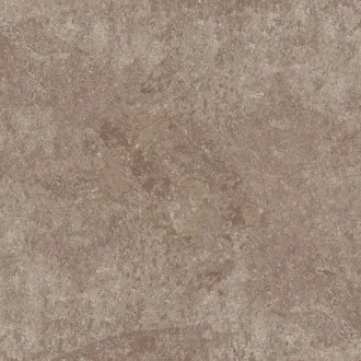 Dynasty Walnut