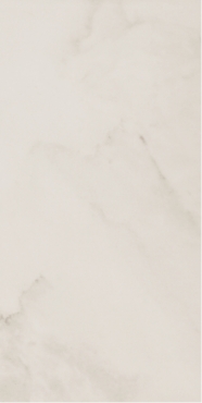 Керамогранит Ecoceramic Eco-Luxe Snow 37,5x75 полированный