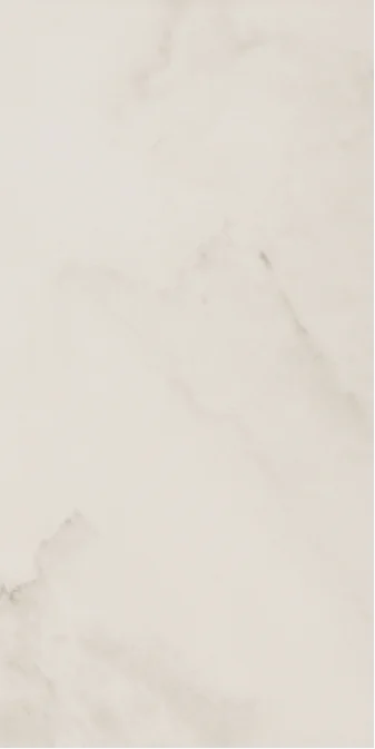 Керамогранит Ecoceramic Eco-Luxe Snow 37,5x75 полированный