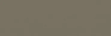 Плитка Italon Element Silk Terra Brick 8x24 матовая