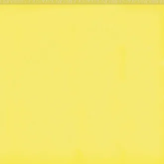 Flexi 1 Yellow Bri