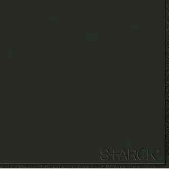 Flexi 2 Logo Black B