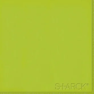 Flexi 2 Logo Green B